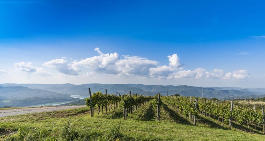 Villa Franka 113 Bašanija Eksteriør billede